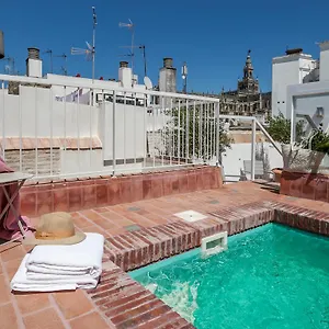 Tomas Ibarra Pool&luxury Sevilla